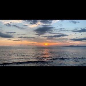 Meet your Posher, Coral